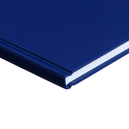 Book of accounting, 96 sheets, boumvinyl cover, offset block, cage, blue color, sticker-2