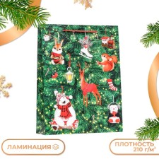 Gift Package 