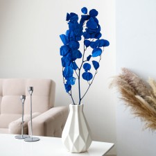Sukhotzet of peach wood, 50 g, length - 70 cm, blue color