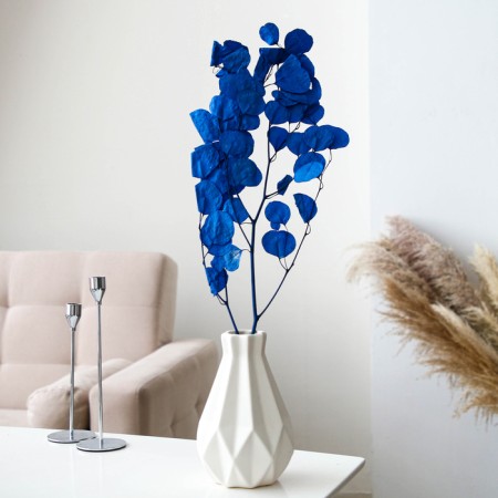 Sukhotzet of peach wood, 50 g, length - 70 cm, blue color