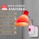 Sconces in the outlet "Classic" 1x10W E27 red 10x14.5x25 cm