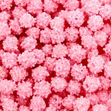 Sprinking confectionery, 