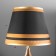 Highway Laima E27 40W black and gold 25x24x41 cm Risalux