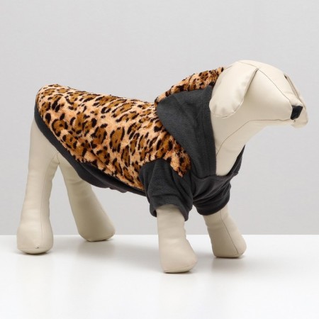 Sweatshirt with a hood "Leopard", size M (DS 25, Osh 36, Osh 42 cm)