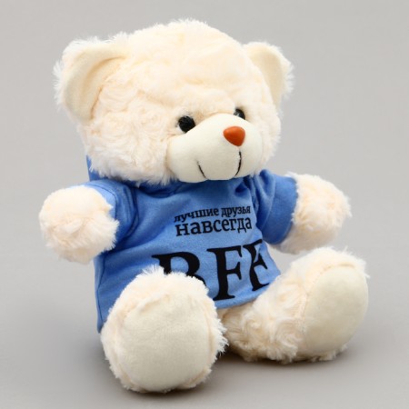 Soft toy Bear "BFF" in the jacket