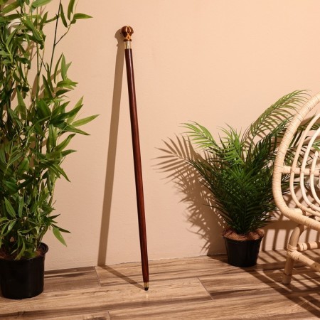 Cane 93 cm, tree shisham