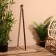 Cane 93 cm, tree shisham