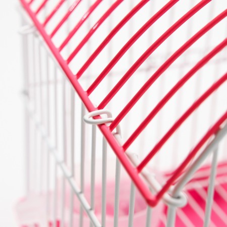 A cell for rodents equipped RT-2C, 23 x 16.5 x 20 cm, pink (packing 30 pcs)-8