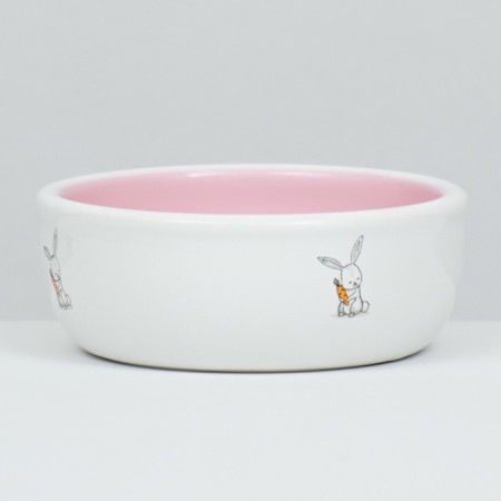 Ceramic bowl for rabbits 200 ml 10 x 3.7 cm, pink/white-2