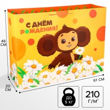 Gift package 