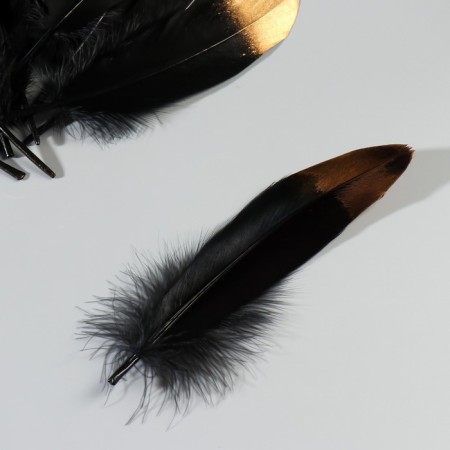A set of goose feathers 15-20 cm, 10 pcs, black with a golden tip-3