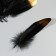A set of goose feathers 15-20 cm, 10 pcs, black with a golden tip