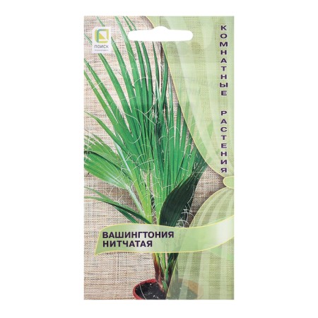 Washingtonia Flowers "Failure", 3pcs.