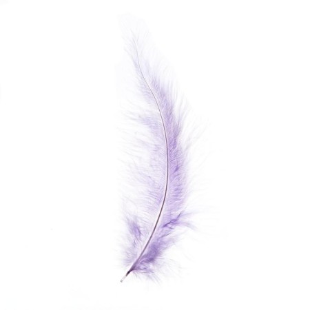 A set of feathers for decor, set of 10 pcs., Size 1 pc: 10 × 2 cm, color powder mix-1