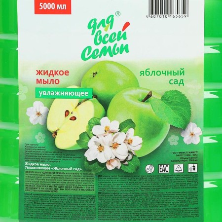 Liquid soap "for the whole family", apple garden, 5 liters-1