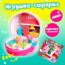 Case-Surprise toy