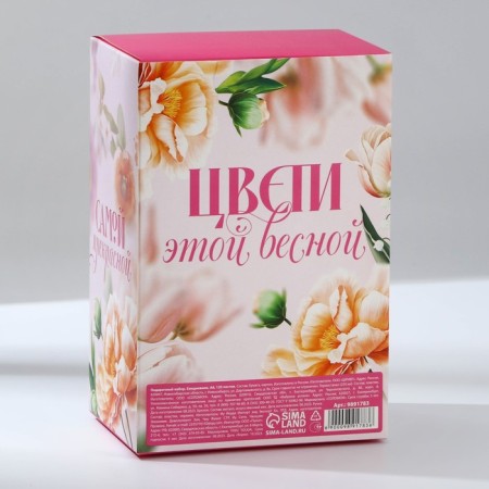 Gift set: thermostat, A6 diary, 120 liters, keychain, handle "March 8"-12