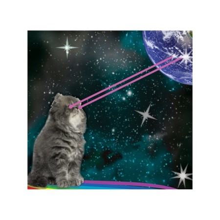 Organizer in a bath on suction cups “Cat Assetable”, for storing toys and little things, size 33x39 cm-1