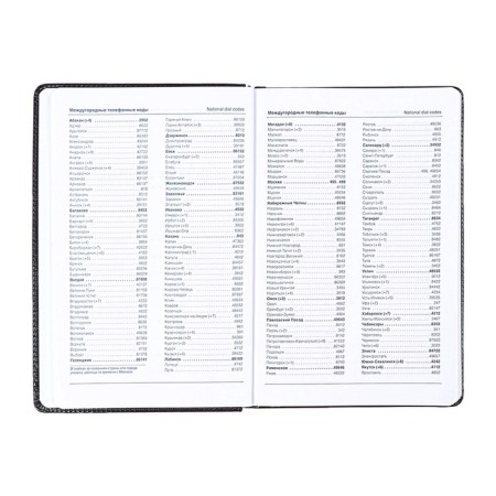 The diary is low, the PVC cover, A5 format, 140 l, cell, with a strap, black-7