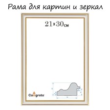 Frame for paintings (mirrors) 21 x 30 x 2.0 cm, plastic, calligrata PLV, milk