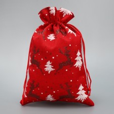 Gift bag 
