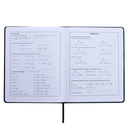 Universal Diary Grade 1-11, 48 sheets of "guitar", a solid cover of artificial leather, lies, an offset unit-10