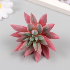Artificial succulent for creating Florarium 