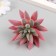 Artificial succulent for creating Florarium "Echevereria Ruby" d = 8.8 cm