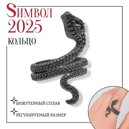Ring "Snake" Two Eyes, Color Black Silver, Directive