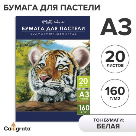 A3 pastel paper, 20 sheets "Tiger", block 160 g/m2, in the folder