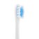 Luazon LP-005 electric toothbrush, vibrational, 2 nozzles, from battery, white