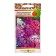 Flowers Flox Many years of new hybrids, mixture (15pcs)