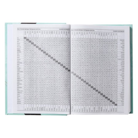 Diary Lowed on a5 160 sheets stitch, 7BC cardboard, matte lamination, Foil "Harmony"-4