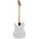 Terris TTL-039 WH electrihitara, telecaster, ss, white color