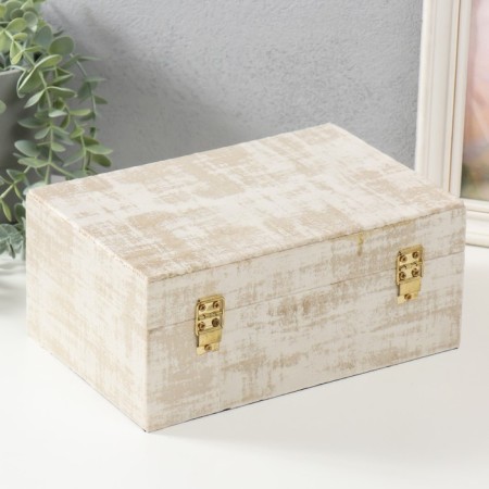 Casket wood to the leatherette "Gainsboro" 24x16x10.3 cm-3