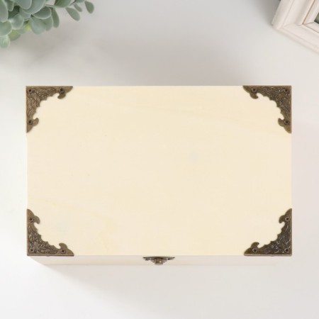 Browner for painting wood "with corners" 8.5x22x14.5 cm-2