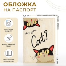 Cover for passport, beige color