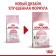 Dry food RC Kitten for kittens, 10 kg