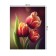 Gabel on the table "Bouquet of tulips", rectangular, oxford, size 120x145 cm