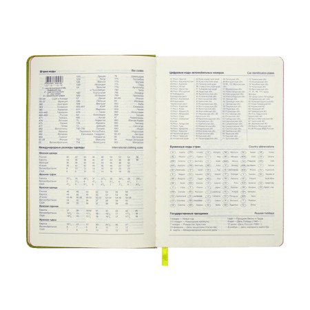 Leduced Diary A5, 140l, Cage, leatherette, elastic band, red cut, green-8