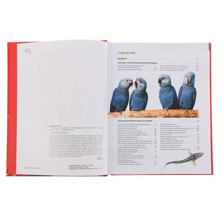 Red Book of Earth (new design). Skaldina O.V., Succan E.A.-4