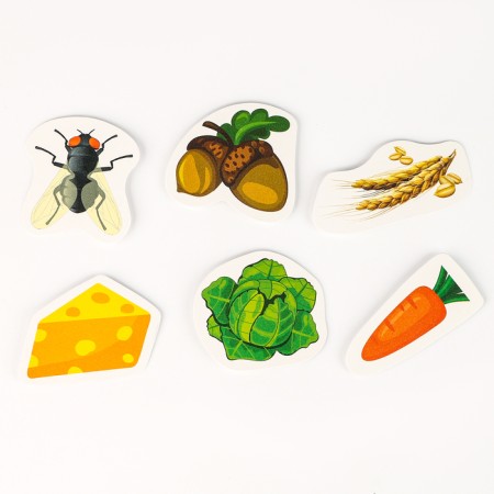A set of developing Velcro games "I am studying the world"-6