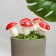 Set of plugs "Mushroom Mukhomorchik" 6x4.5cm, 5pcs