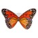 Poster "Butterfly" 25.3 x 23 cm