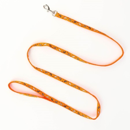 Set "Dogs", leash 120 x 1 cm, og 23-35 cm, orange-5