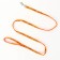 Set "Dogs", leash 120 x 1 cm, og 23-35 cm, orange