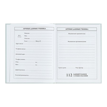 Universal Diary 5-11 classes, 48 ​​sheets "there is", matte lamination, a solid cover, a UV-lace, block 65 g/m2-4