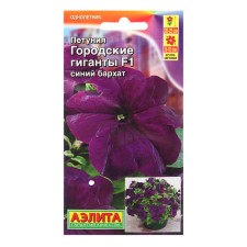 Petunia seeds City giants F1 Blue velvet Odn (dragee in a test tube) c/n 7pcs