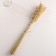 Set of dried flowers "oats", banch length 60-65 (+/- 6 cm), natural