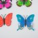 Magnet "Butterfly - Protective Color" 5.5x8 cm, mix